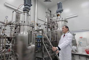 投資迷途 2500萬(wàn)投資續(xù)命藥，兩年市值蒸發(fā)2億美元的警示