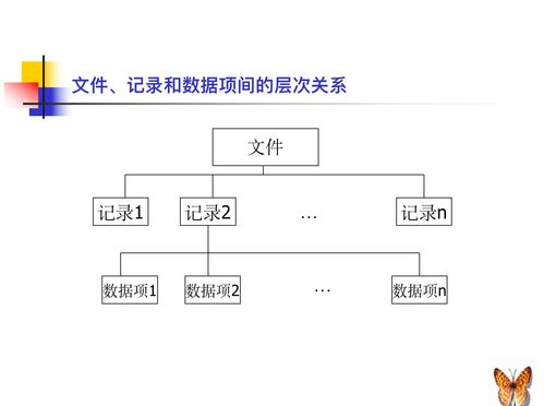計算機系統之文件系統 數據處理的基石